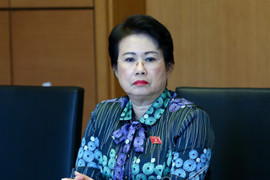 Bắt giam cựu Phó Bí thư Tỉnh ủy Đồng Nai Phan Thị Mỹ Thanh