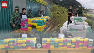 Triệt phá đường dây vận chuyển nửa tấn ma túy đá ngụy trang trong xe đầu kéo