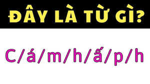 Những người thông minh nhất cũng chưa chắc giải được câu đố này