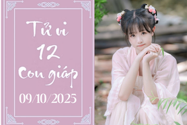 Tử vi 12 con giáp hôm nay ngày 9/10/2025: Tý ổn định, Dần cẩn trọng