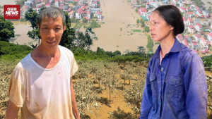 Đào Tết chìm trong bùn lũ: Nông dân Thái Nguyên khóc nghẹn giữa ruộng tan hoang