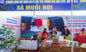 Sắc màu nông sản Tây Bắc tại Hội chợ xúc tiến thương mại Sơn La 2025