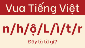 Vua tiếng Việt cũng 'đầu hàng' với câu đố này