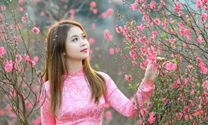 Thủ tướng đồng ý phương án nghỉ Tết Bính Ngọ 9 ngày liên tục