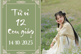 Tử vi 12 con giáp hôm nay ngày 14/10/2025: Ngọ khấm khá, Tý nên cẩn trọng