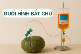 Thử thách người tinh mắt, nhanh trí cũng chịu thua