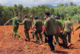 Giải cứu người đàn ông rơi xuống giếng hoang sâu 15m trong rừng keo ở Gia Lai