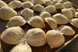 Loại vỏ trái cây thường bị bỏ đi lại được người Trung Quốc ví như thuốc quý