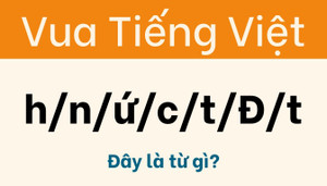 Đừng nhận là Vua tiếng Việt nếu giải sai câu đố này