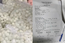 Vụ thịt ôi, trứng hỏng vào trường: Phó Chủ tịch Hà Nội chỉ đạo làm rõ