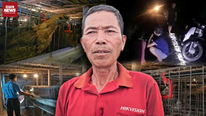 Gà mất liên tục, người dân thức xuyên đêm rình bắt trộm