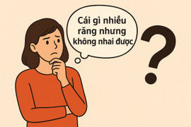 Cái gì nhiều răng nhưng không nhai được?