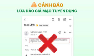 Mạo danh bộ phận tuyển dụng của ngân hàng, chiếm đoạt 255 triệu đồng