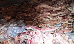 Khởi tố kẻ tích trữ gần 38 tấn thịt lợn bệnh trong kho lạnh để bán ra thị trường