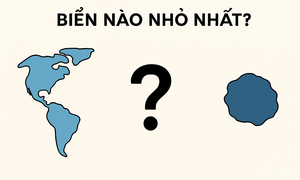 Biển nào nhỏ nhất thế giới?