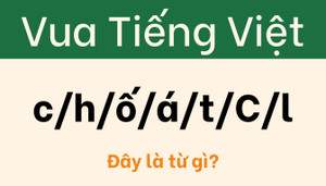Người 'sành ngữ' cũng phải đầu hàng với câu đố này