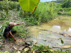 Lâm Đồng ra cảnh báo sau nghi vấn voi rừng quật chết người