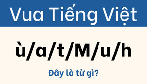 Câu đố khiến dân chơi chữ phải đầu hàng