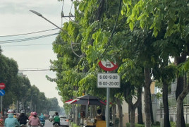 Biển báo giao thông 'núp lùm' ở TP.HCM: Sở Xây dựng lên tiếng 