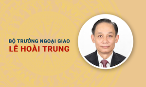 Infographic: Sự nghiệp Bộ trưởng Ngoại giao Lê Hoài Trung