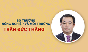 Infographic: Sự nghiệp Bộ trưởng Nông nghiệp và Môi trường Trần Đức Thắng