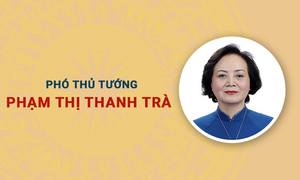 Infographic: Chân dung nữ Phó Thủ tướng đầu tiên của Việt Nam