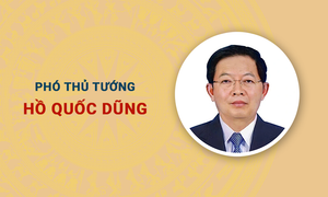 Infographic: Sự nghiệp Phó Thủ tướng Hồ Quốc Dũng
