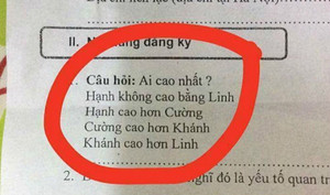 Bài toán IQ gây tranh cãi: Ai cao nhất?