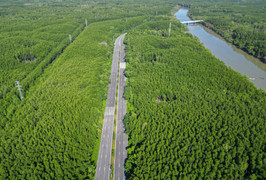 Việt Nam cần khoảng 28 tỷ USD cho chuyển đổi xanh đến 2030