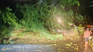 Hàng loạt đèo ở Lâm Đồng sạt lở: Người dân cần biết điều này