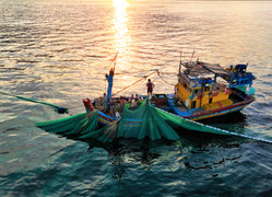 Gia Lai hỗ trợ 3 triệu đồng/tháng cho tàu cá không đủ điều kiện ra khơi