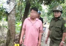 Khởi tố người đàn ông hái trộm mít ở Đồng Tháp
