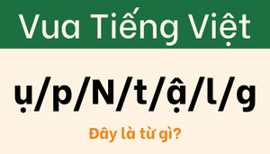 Thử thách dành cho người nhạy bén với ngôn ngữ