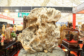 Khách tò mò ngắm san hô, gỗ hóa thạch trăm triệu tuổi, giá tiền tỷ 