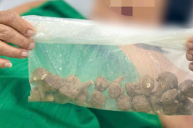 Sắc 5 củ ấu tẩu uống chữa đau khớp, cụ bà sốc tim suýt tử vong