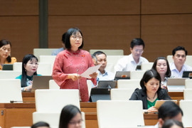 Trực tiếp: Quốc hội tiếp tục thảo luận tình hình kinh tế - xã hội