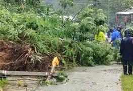 3.000 dân ở xã miền núi của Đà Nẵng bị cô lập, 5 ngôi nhà bị vùi lấp do sạt lở