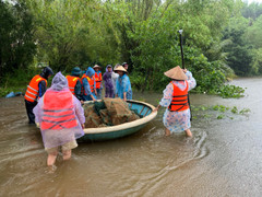 Chèo thúng đi thả lưới, người phụ nữ ở Quảng Ngãi tử vong