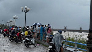 Lũ dâng cao, người đàn ông bị mắc kẹt ở gò đất giữa sông Trà Khúc