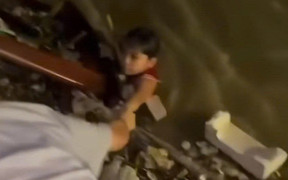 Đà Nẵng: Thót tim cảnh giải cứu bé trai bám tấm gỗ mục dạt vào chân cầu Rồng