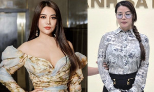 Sự nghiệp của diễn viên Trương Ngọc Ánh trước khi bị bắt