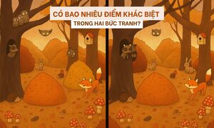 Câu đố dành cho người thuộc top tinh mắt nhất