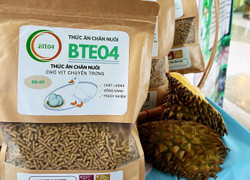 Sinh viên 'hô biến' vỏ sầu riêng thức ăn chăn nuôi