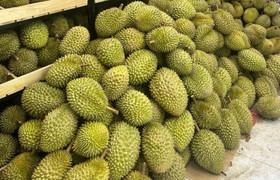 Diễn biến mới vụ gần 2.000 container sầu riêng bị ùn tắc