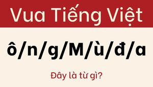 Đừng để câu đố này đánh lừa bạn
