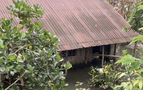 Hai mẹ con tử vong trong căn nhà ngập nước ở Đồng Tháp