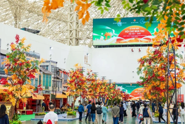 Chuyên gia: Hội chợ mùa Thu 2025 là khởi đầu cho những hành trình lớn