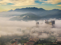 Sáng nay, phố biển Quy Nhơn ‘mơ màng’ trong sương