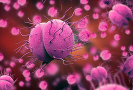 Hà Nội ghi nhận ca mắc não mô cầu là nam thanh niên 24 tuổi