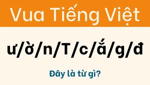 Chỉ 1% người giỏi ngôn ngữ mới tìm được lời giải